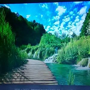 Meet your Posher, Will